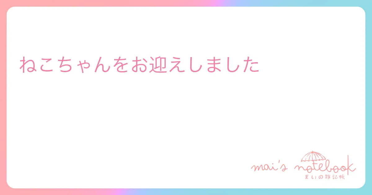 ねこちゃんをお迎えしました